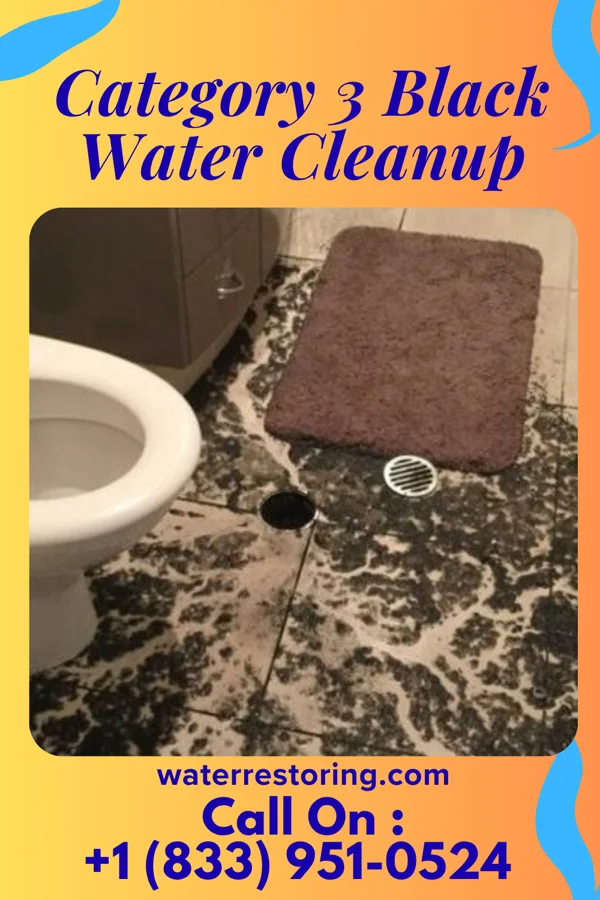 Category 3 Black Water Cleanup in Tierra Grande, TX